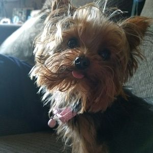 Meet your Posher, Tonia